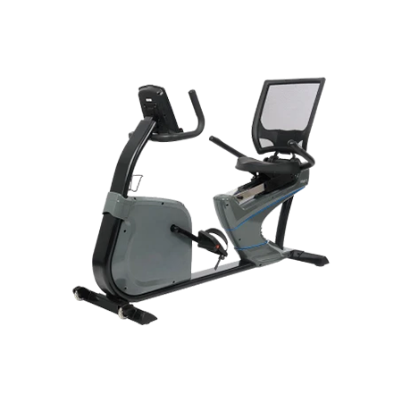 Body Speed Recumbent Bike