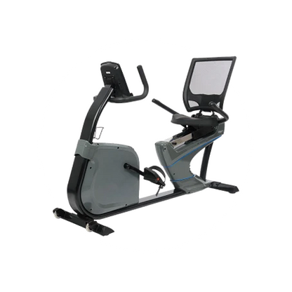 Body Speed Recumbent Bike