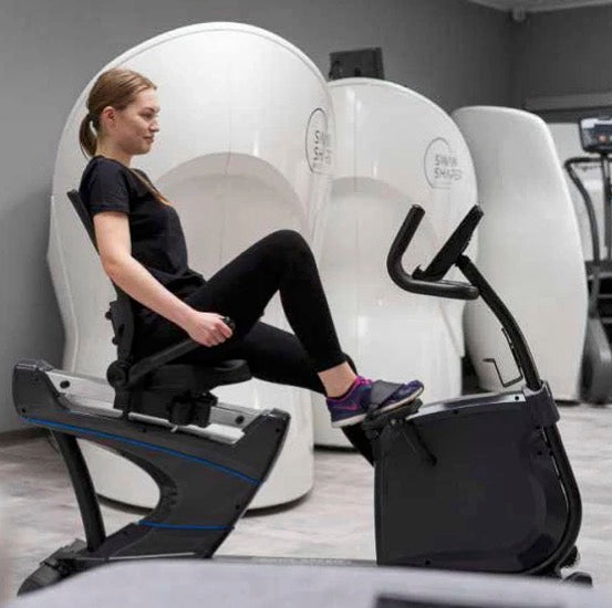 Body Speed Recumbent Bike